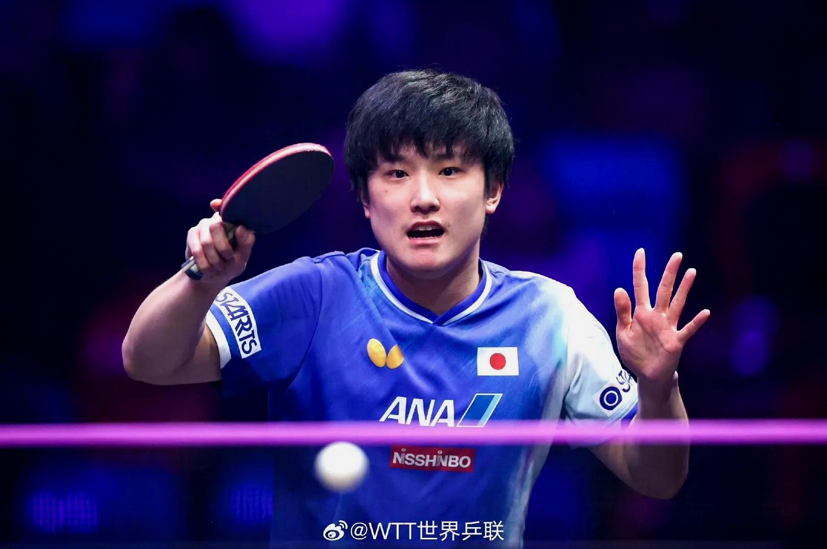 PG电子官网入口-法国乒乓球队逆转韩国乒乓球队，奥恰洛夫爆发神勇的简单介绍