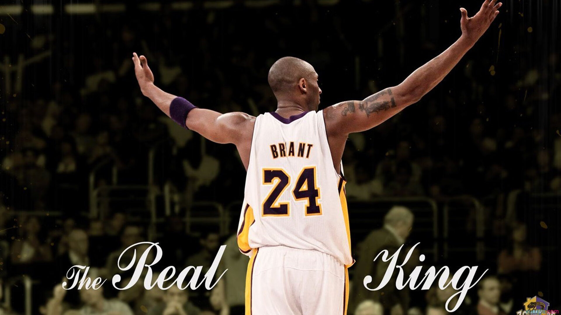 梅德韦杰夫与反罗兰·加洛斯的胜利,硬地实验室如何横扫百年红土圣殿